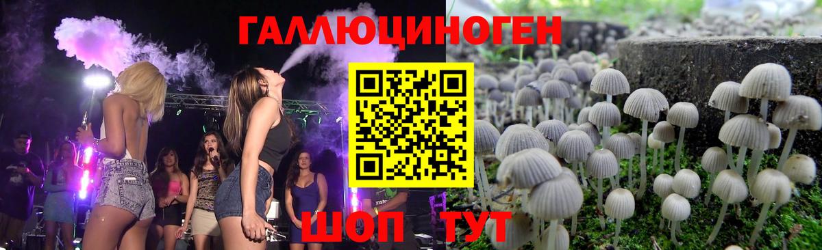 Бор  Псилоцибиновые грибы мицелий  Вход с VPN 